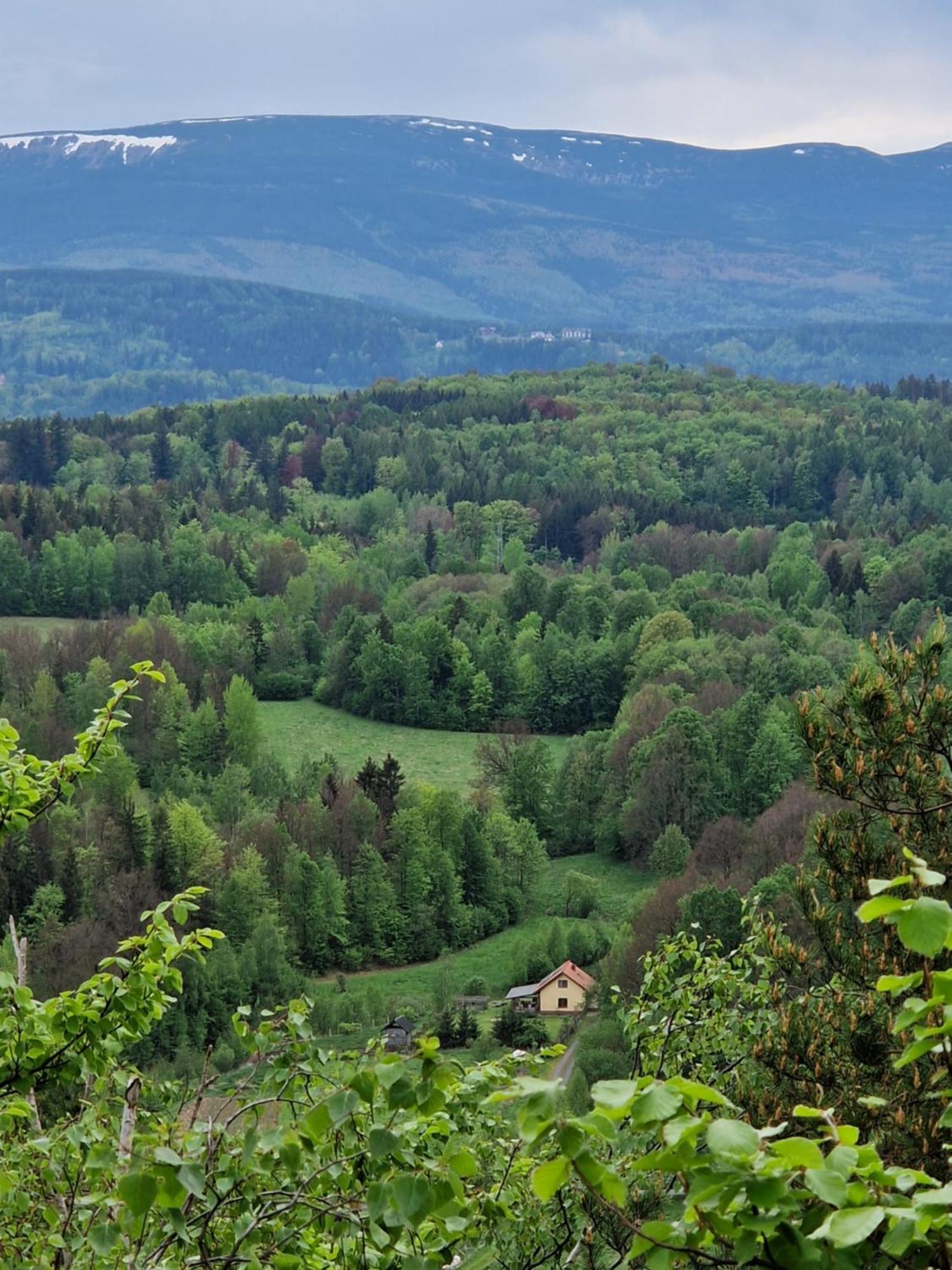Majcia Βίλα Jelenia Góra Εξωτερικό φωτογραφία